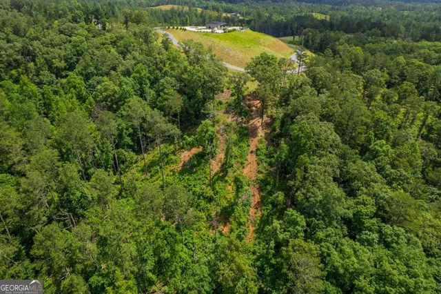 an aerial view of residential houses with outdoor space and trees