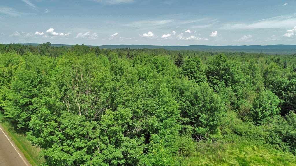 Lot 16 Springfield Road Danforth, ME 04424 - Photo 5 of 8 wooded-land-in-maine