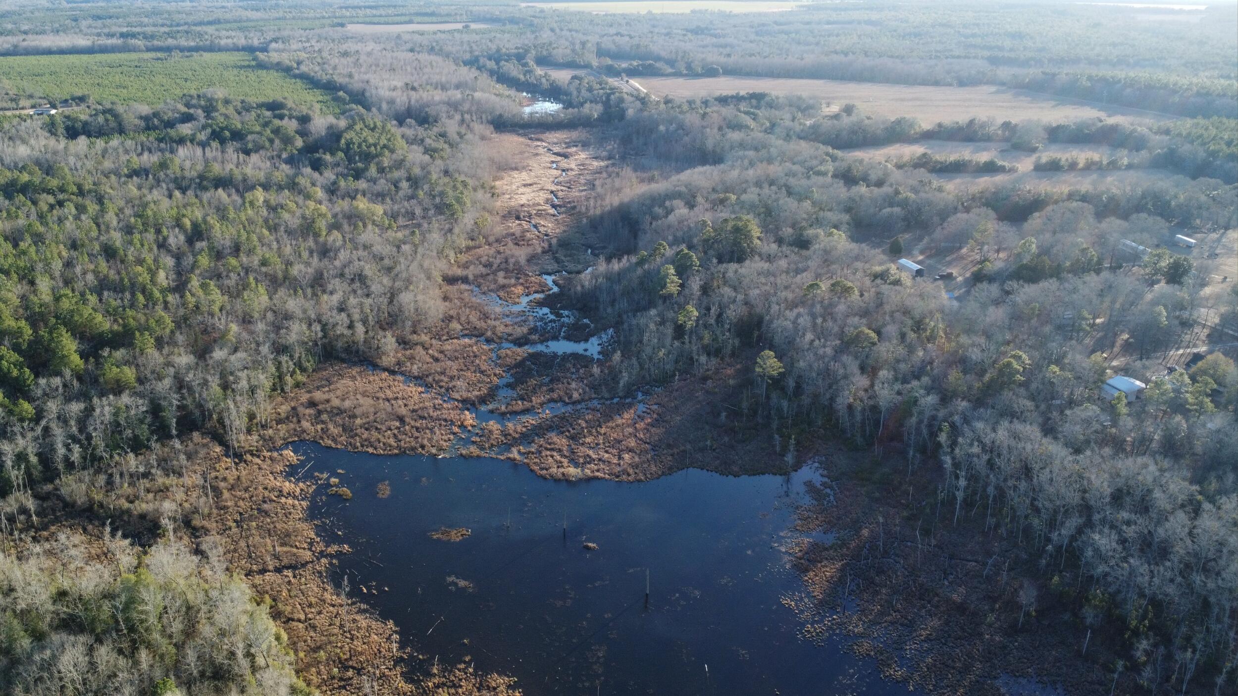0 Millers Pond Road Salley, SC 29137 - Photo 14 of 28