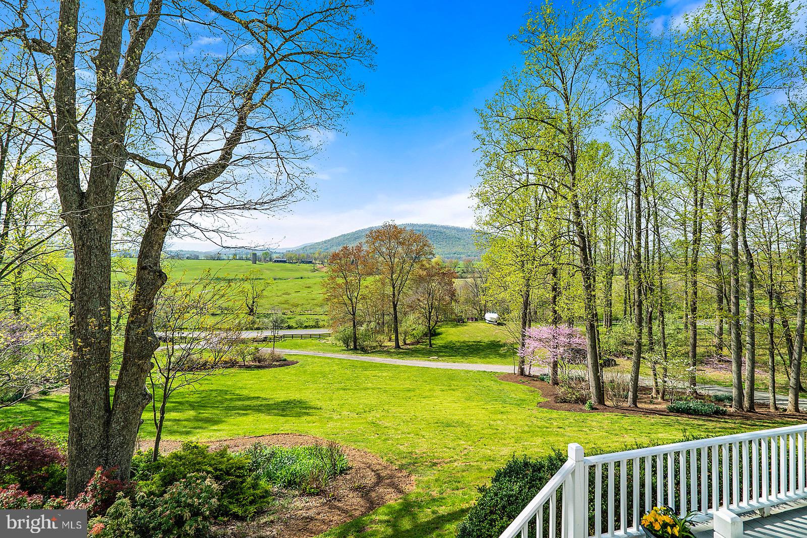 10156 Ada Road Marshall, VA 20115 - Photo 19 of 76