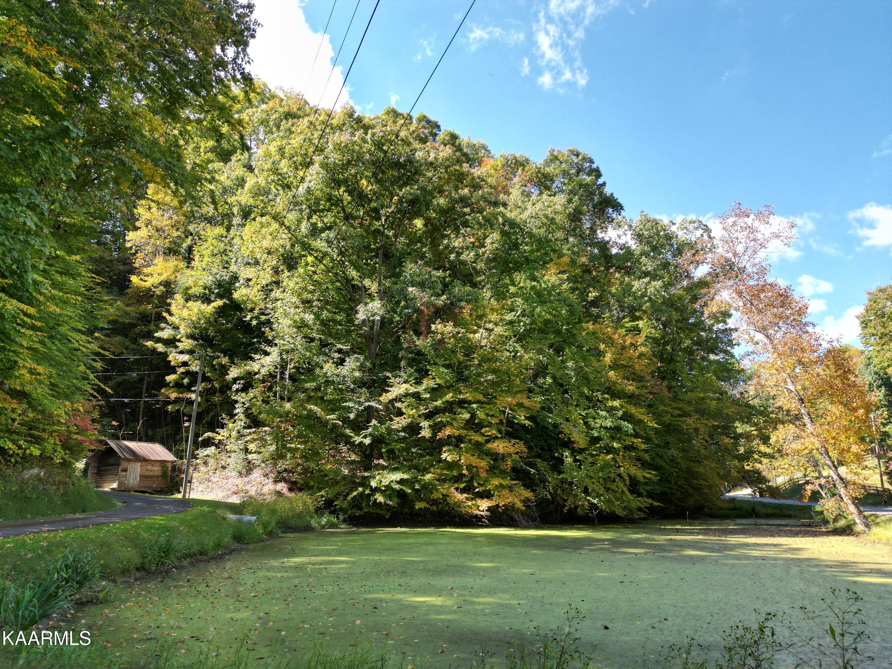 0 Goldrush Road Pigeon Forge, TN 37863 - Photo 11 of 19 f