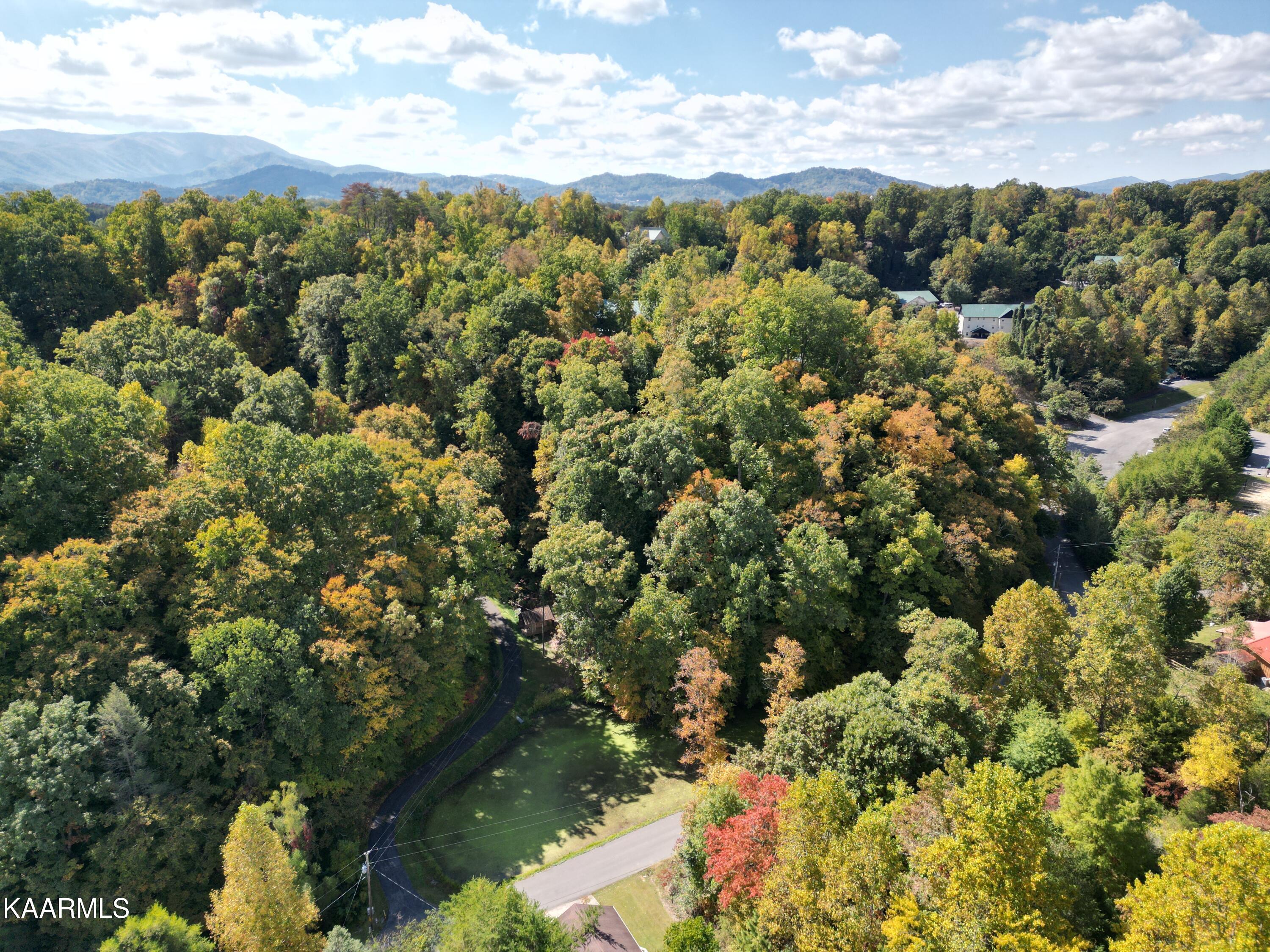 0 Goldrush Road Pigeon Forge, TN 37863 - Photo 8 of 19 b