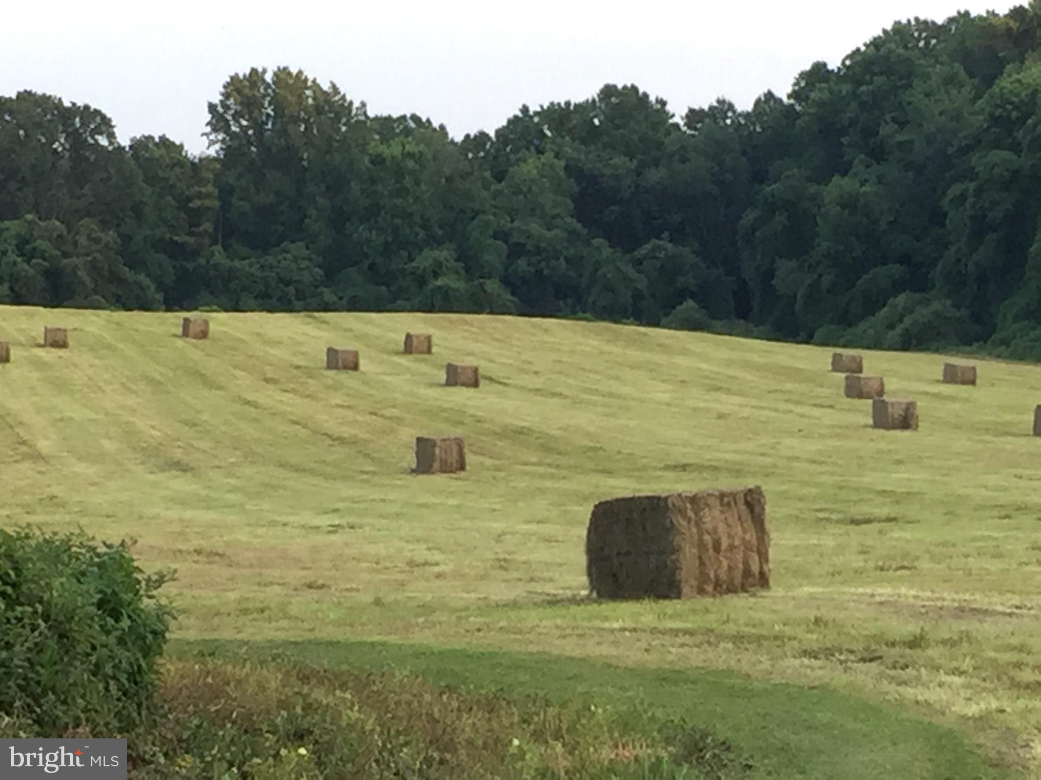 1190 Corner Ketch Road Newark, DE 19711 - Photo 22 of 26 White Clay Creek State Park