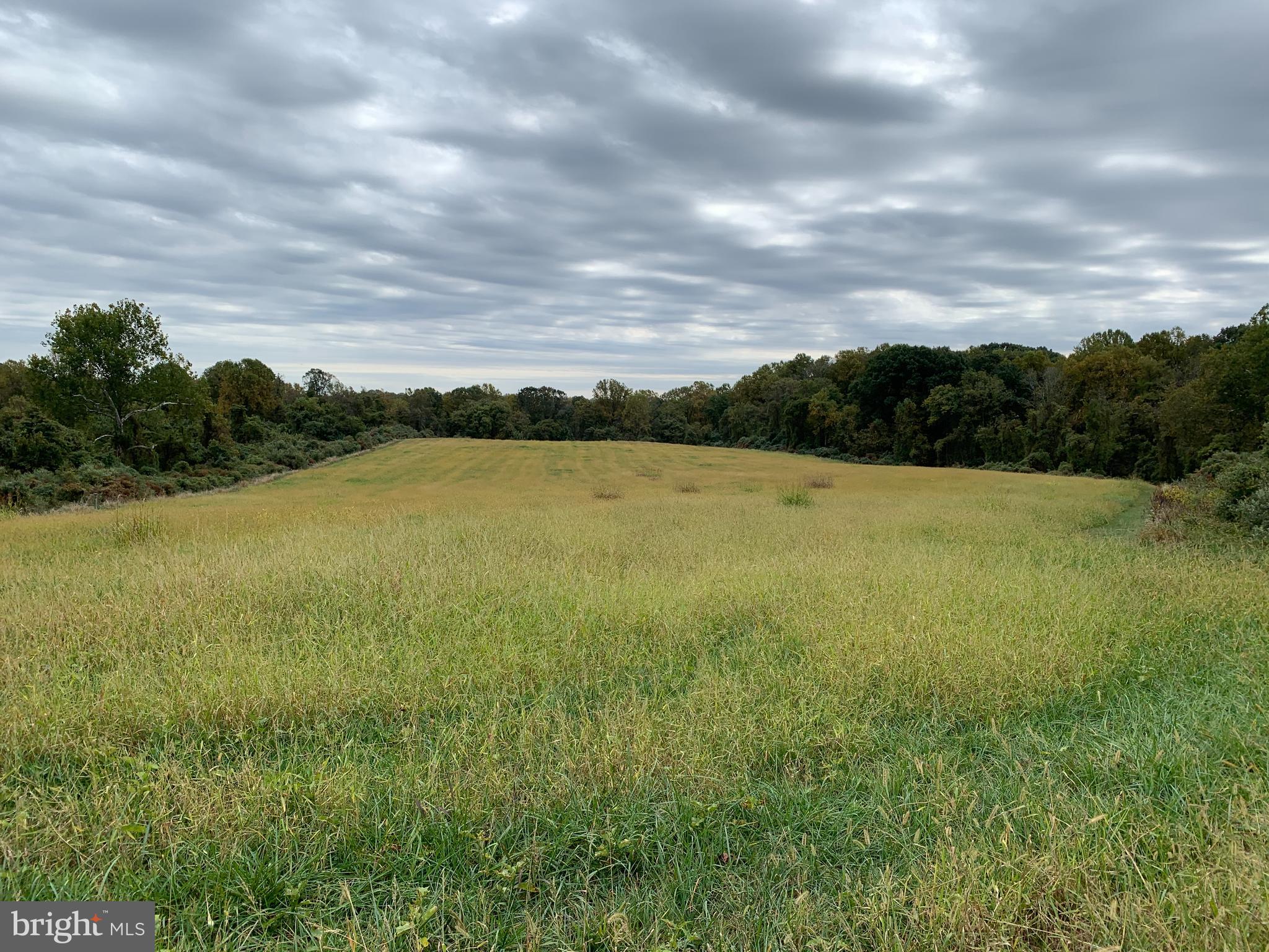 1190 Corner Ketch Road Newark, DE 19711 - Photo 24 of 26 White Clay Creek State Park