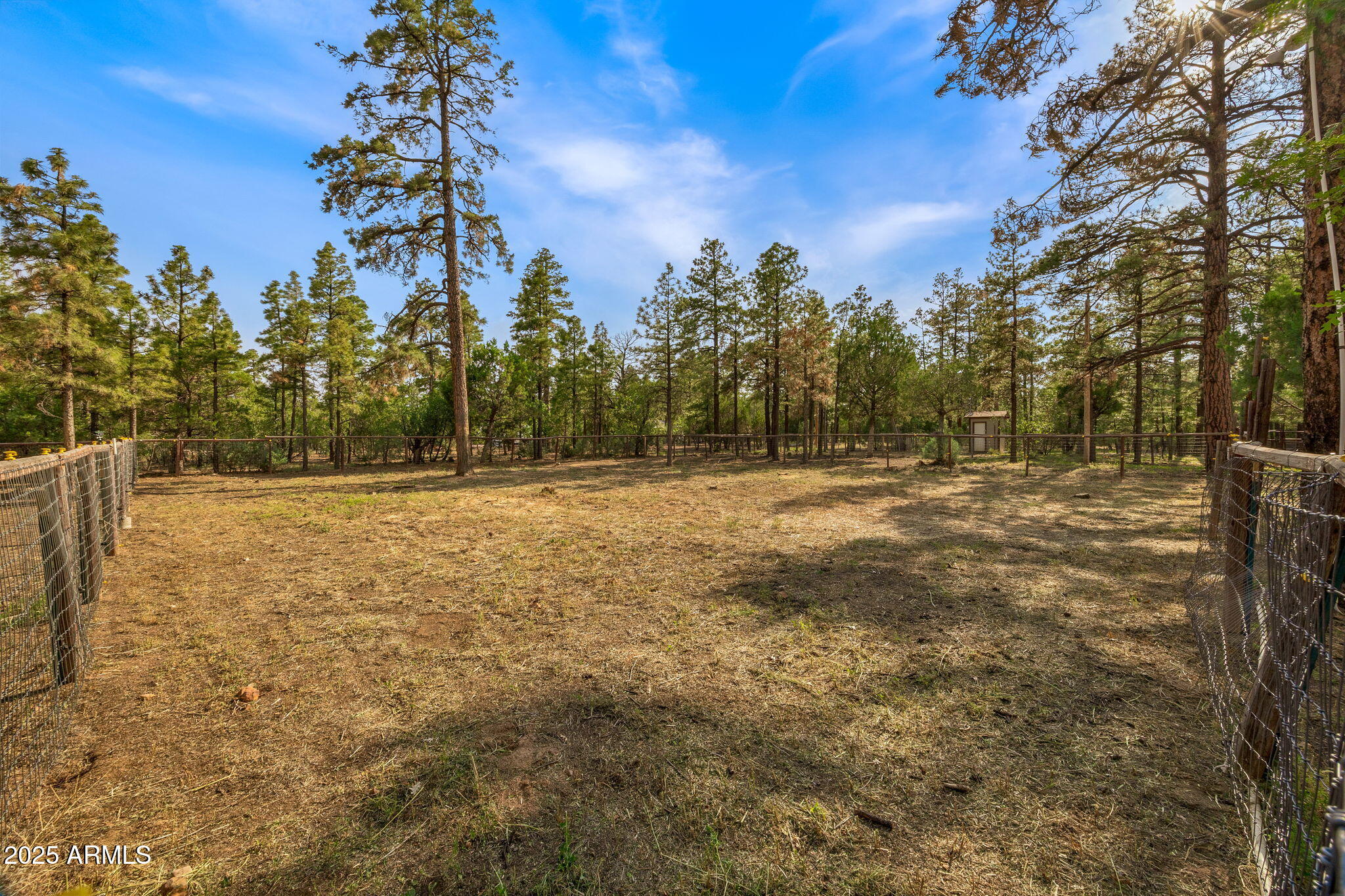 2710 Hooks Way Overgaard, AZ 85933 - Photo 26 of 46 2710HooksWay-Heber-AZ-26