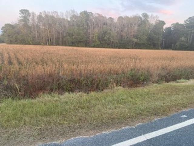 Spring Branch Road Tar Heel, NC 28392 - Photo 4 of 6 Photo 4