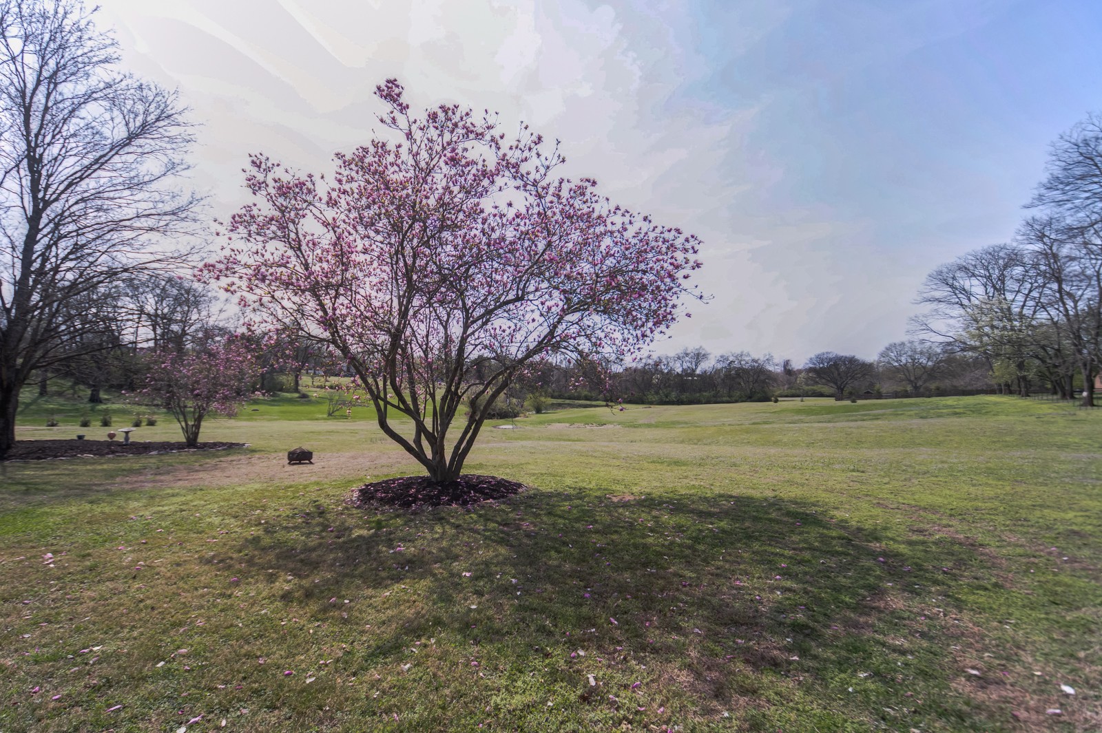 3975 Nonaville Road Mount Juliet, TN 37122 - Photo 50 of 55