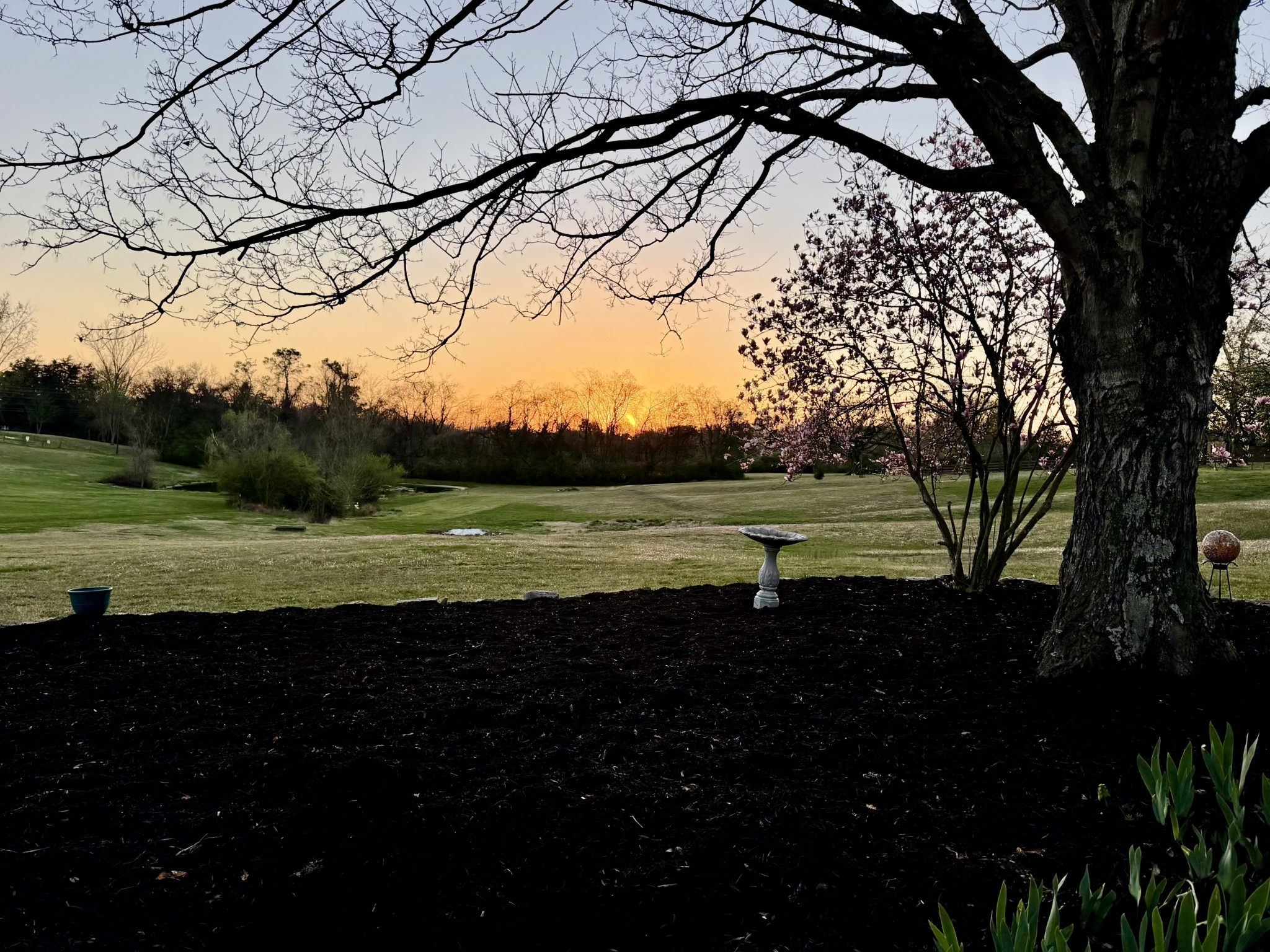 3975 Nonaville Road Mount Juliet, TN 37122 - Photo 55 of 55 a view of a lake with a yard