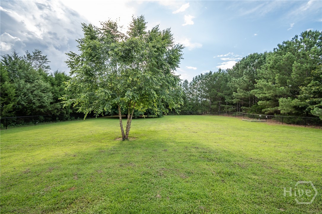 1090 Ruby Way Bogart, GA 30622 - Photo 4 of 35