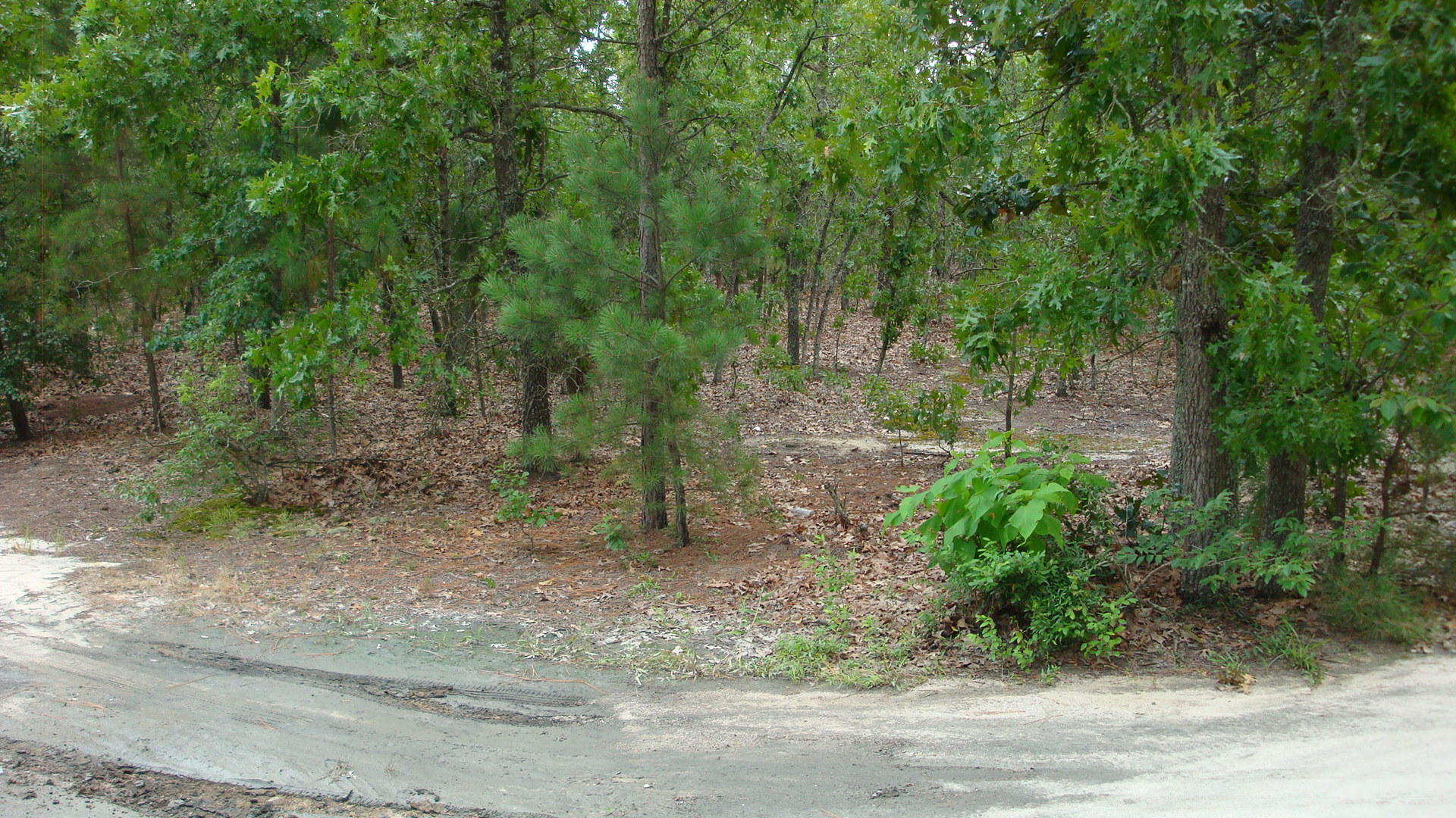 142 Wildwood Road Rockingham, NC 28379 - Photo 1 of 3 front view