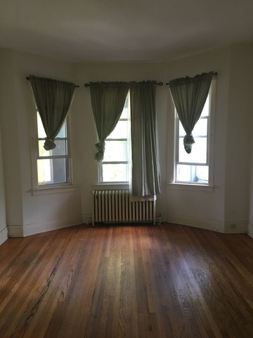 5943 West Rice Street Chicago, IL 60651 - Photo 3 of 12
