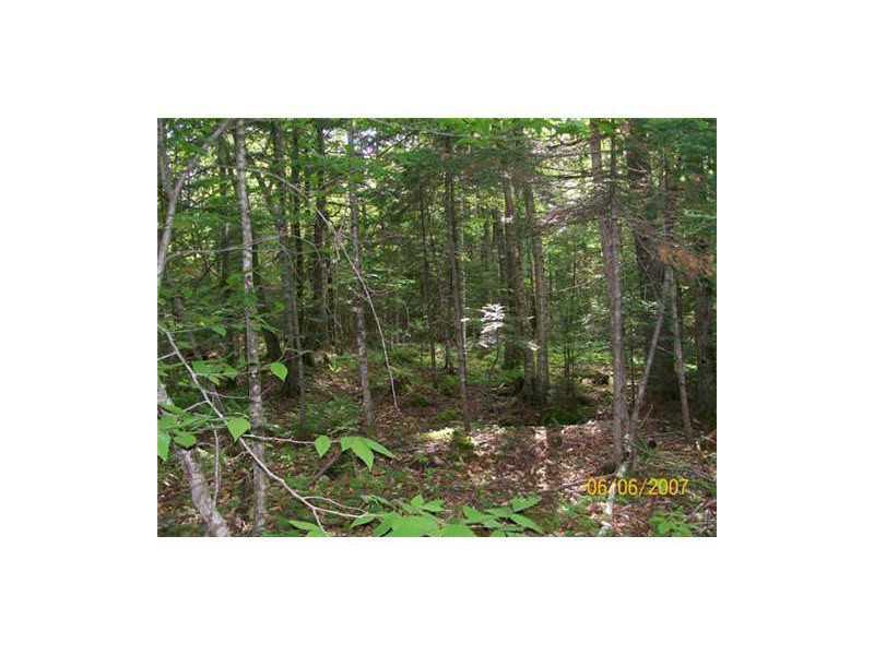 Lot 5 Turner Road Sangerville, ME 04479 - Photo 7 of 19 Land.