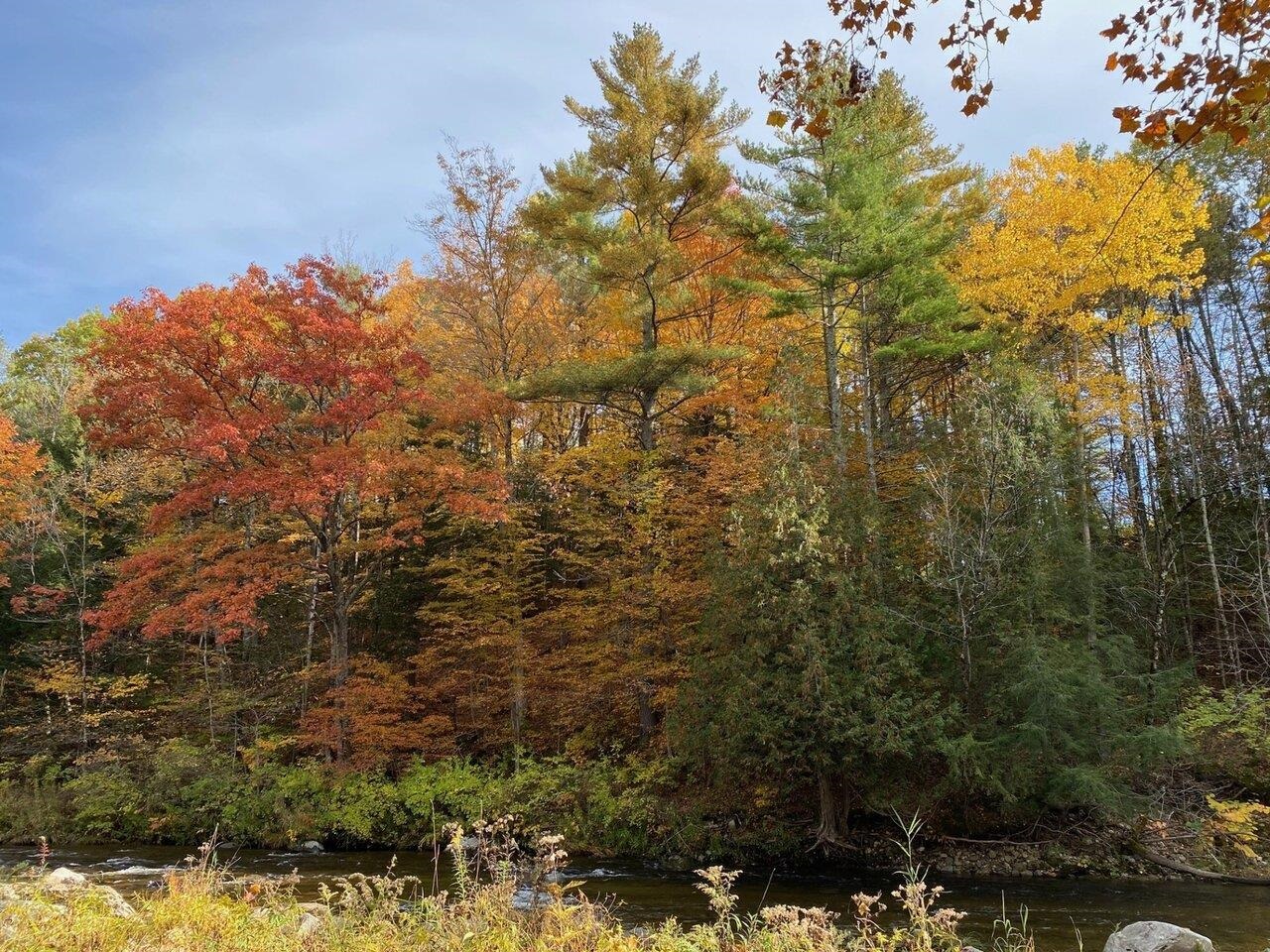 4003 River Road New Haven, VT 05472 - Photo 28 of 37