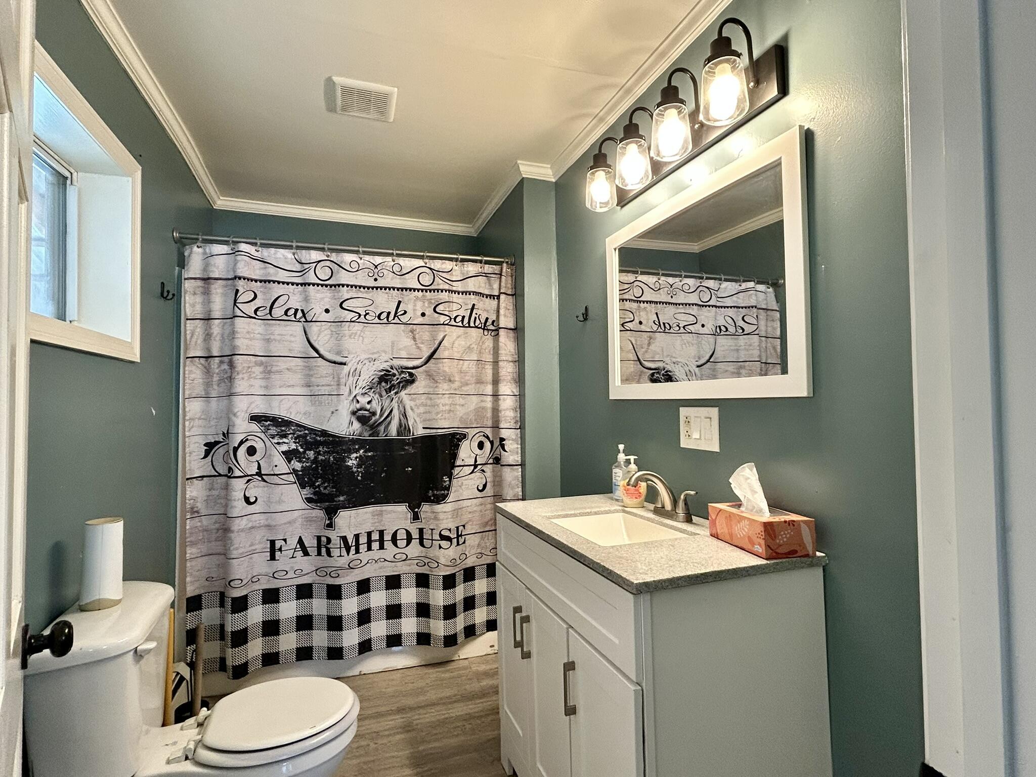 205 Elm Street Newport, ME 04953 - Photo 14 of 34 IMG_8902