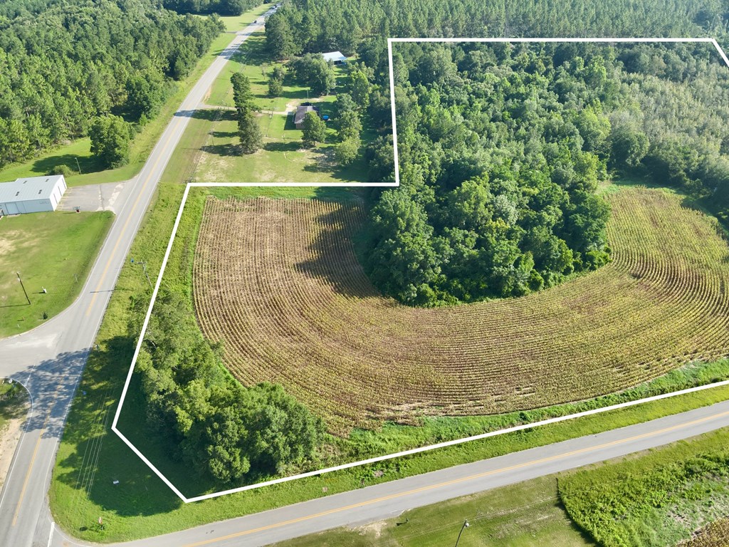 17.57-acres Red Oak Road Florala, AL 36442 - Photo 11 of 11