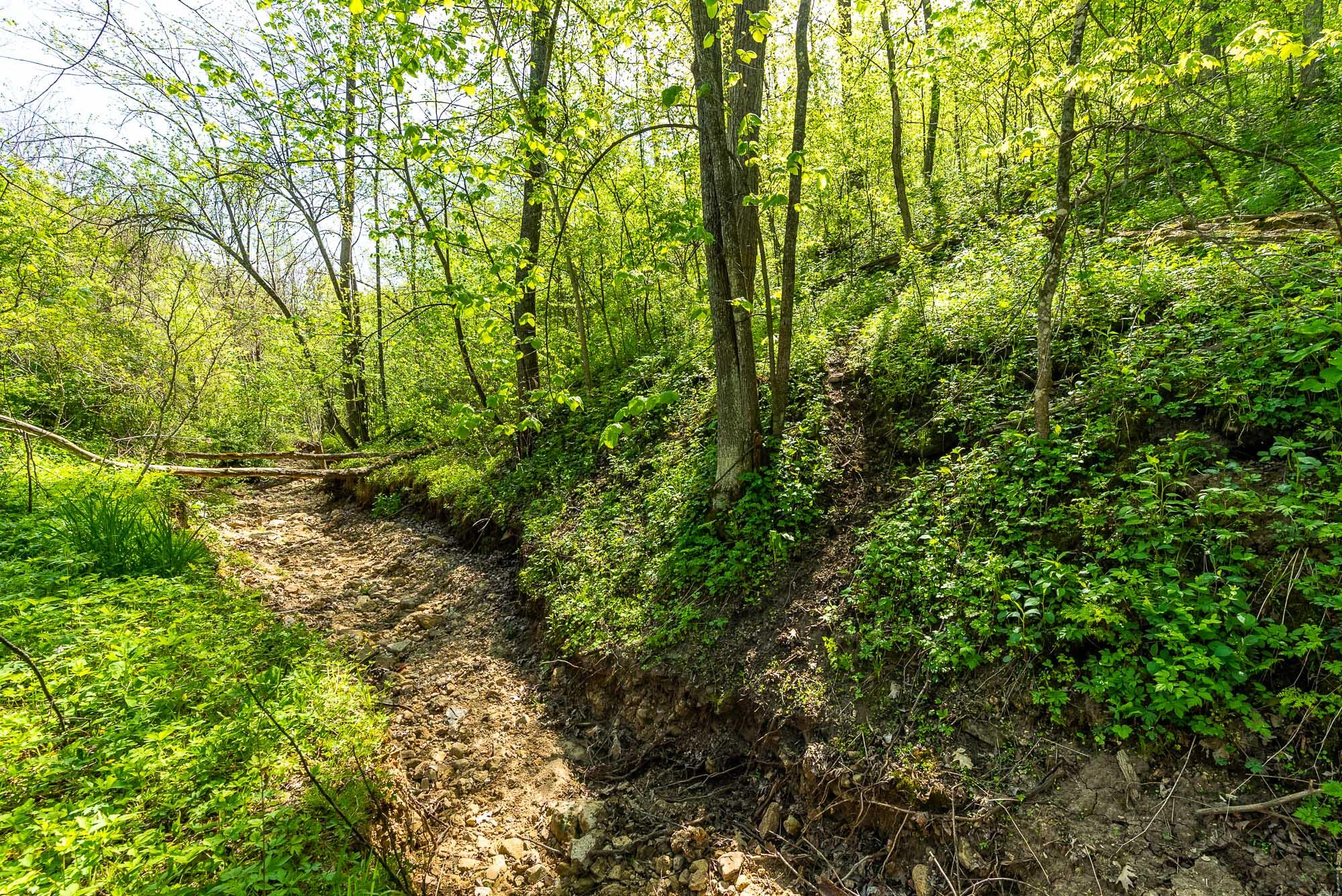 15999 Biba Road Muscoda, WI 53573 - Photo 76 of 103 Grant-County-WI-160-Acres-Land-For-Sale-