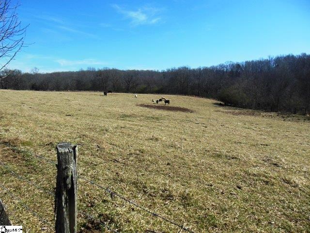 517 Mountain View Road Anderson, SC 29626 - Photo 9 of 23 Gallery Image 9