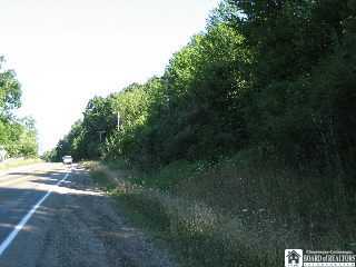 Gerry Levant Road Gerry, NY 14740 - Photo 1 of 1