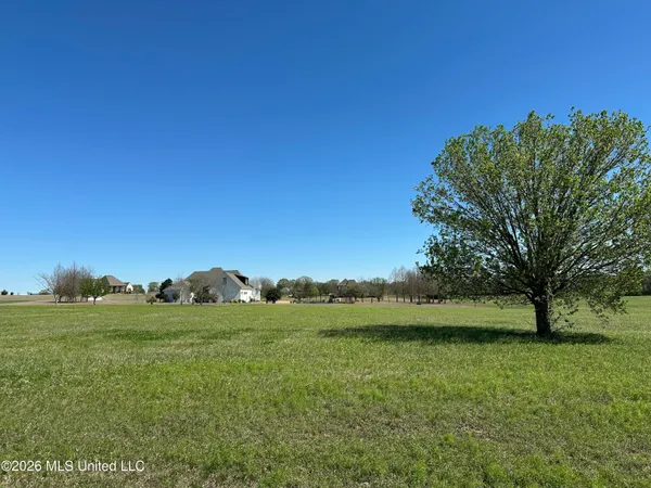 $100,000 | 0 Hannahlea Place, Flora, MS 39071