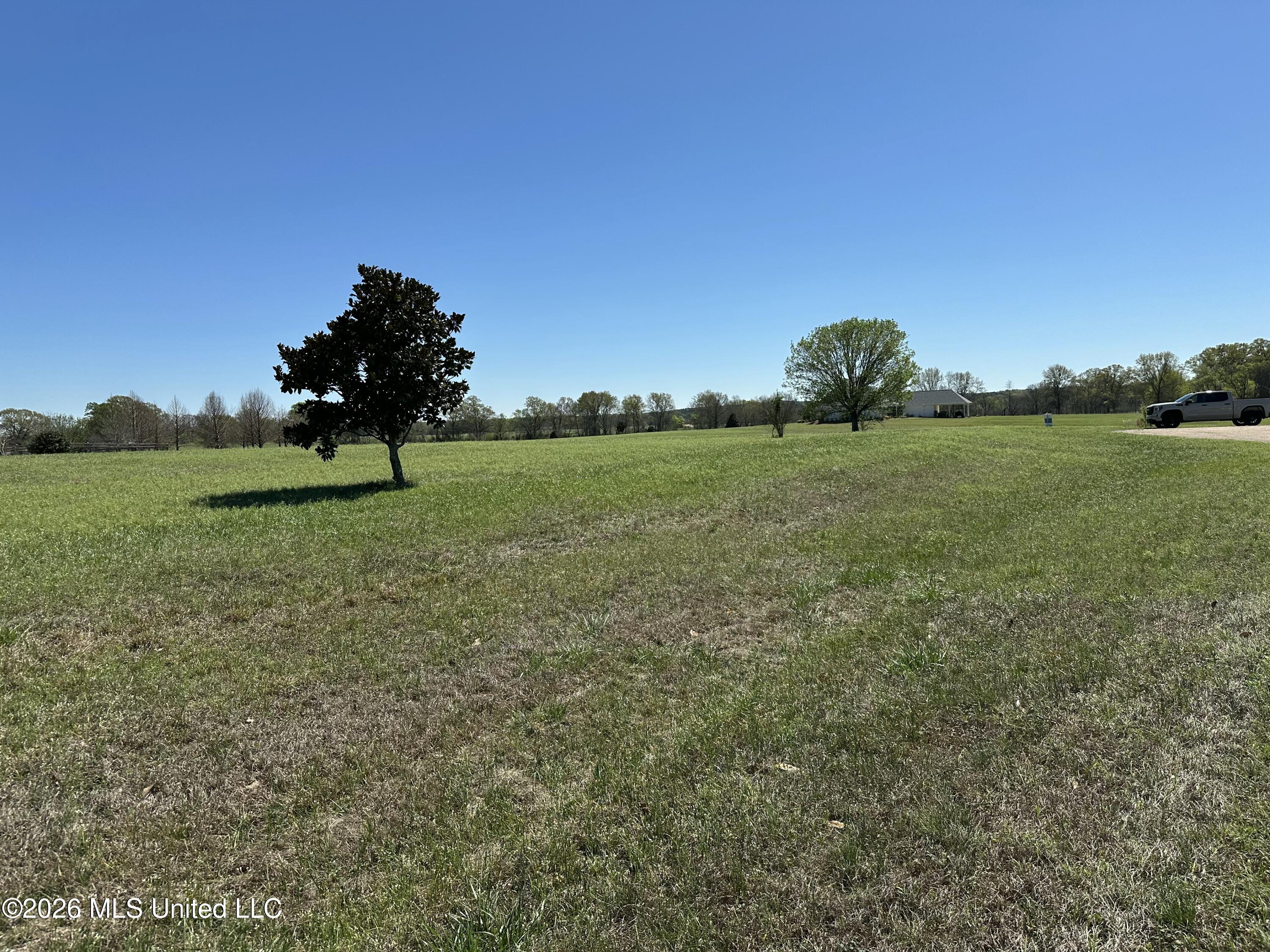0 Hannahlea Place Flora, MS 39071 - Photo 2 of 7 31A64D55-C95D-46A0-8635-5F899EAFE8D4