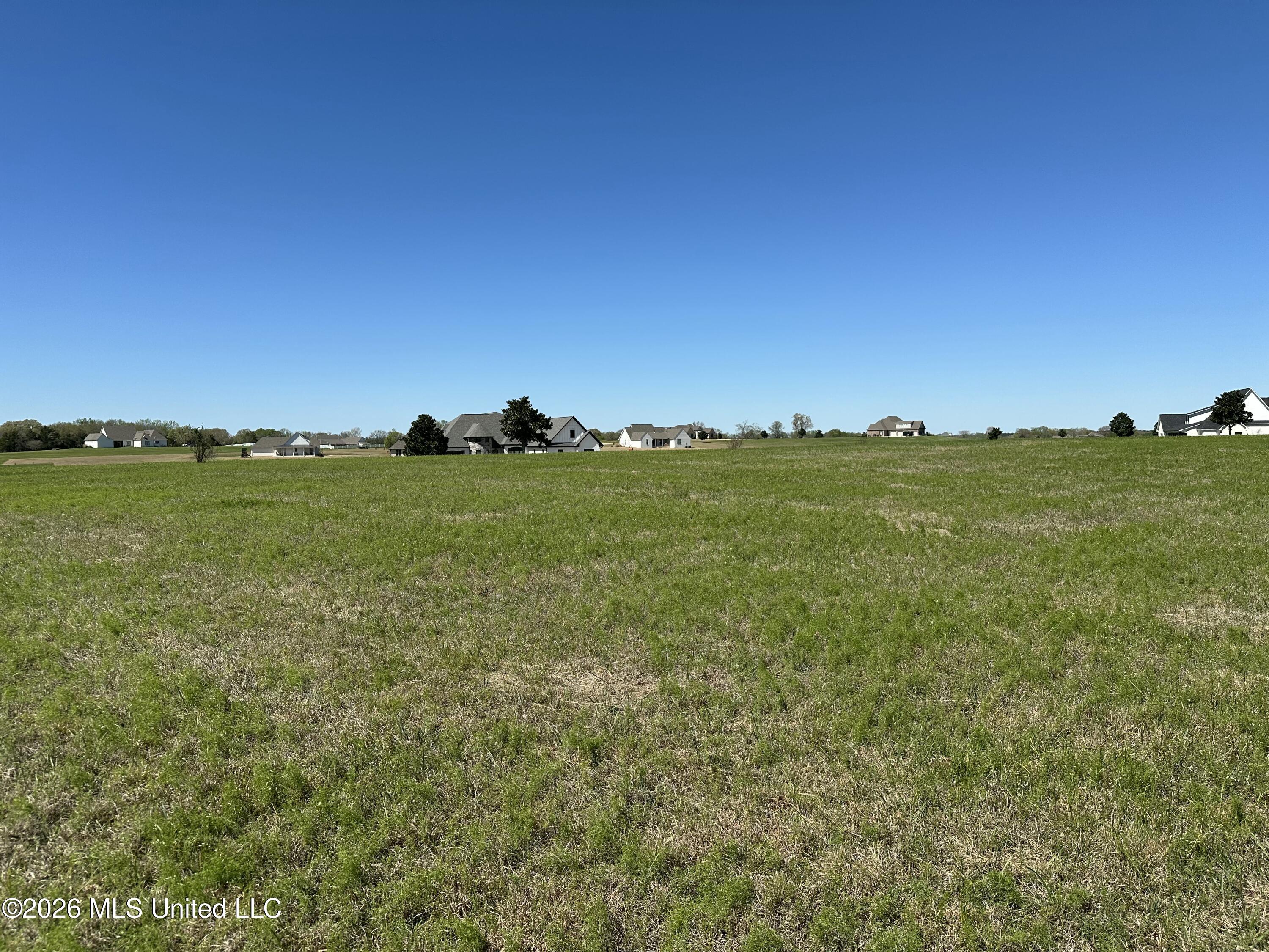 0 Hannahlea Place Flora, MS 39071 - Photo 6 of 7 EF8250D2-7F65-4008-A6EB-BEE293A45022