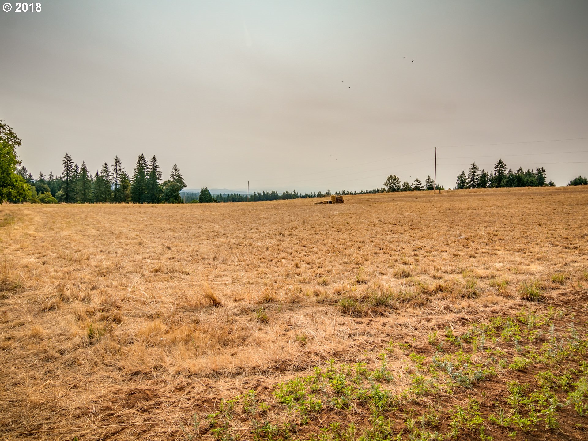 25924 Southwest Baker Road, Unit TL200 Sherwood, OR 97140 - Photo 5 of 7 Gallery Image 5