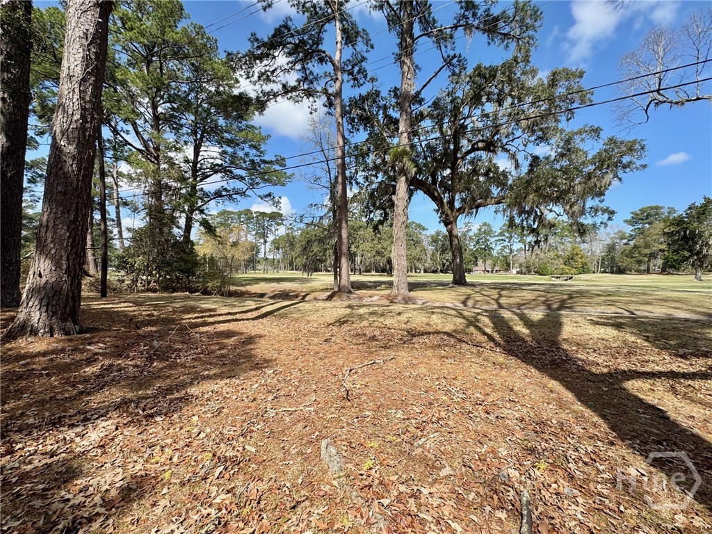 412 Arlington Road Savannah, GA 31419 - Photo 43 of 45 Gallery Image 43