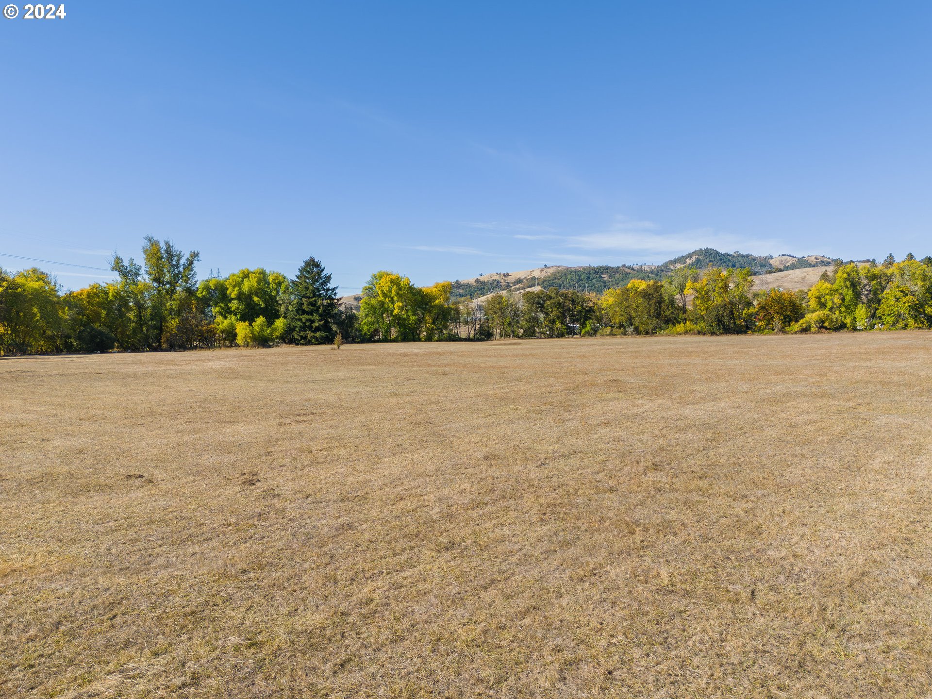 18235 Dixonville Road Roseburg, OR 97470 - Photo 4 of 40