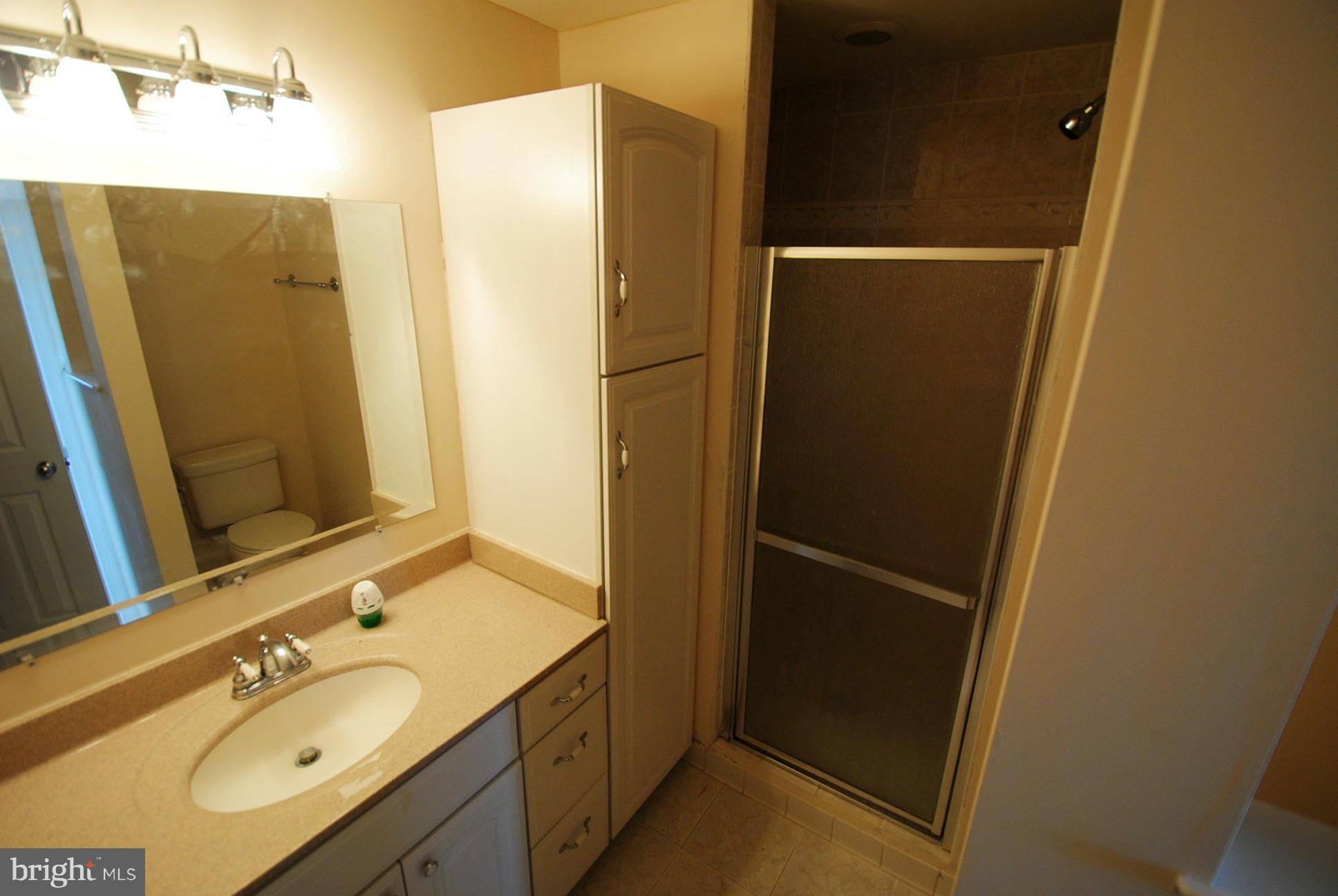 204 Alpine Meadow Road Winchester, VA 22602 - Photo 14 of 30 Bath (Master)