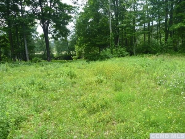 71 Creek Road Catskill, NY 12414 - Photo 4 of 4 Photo 4