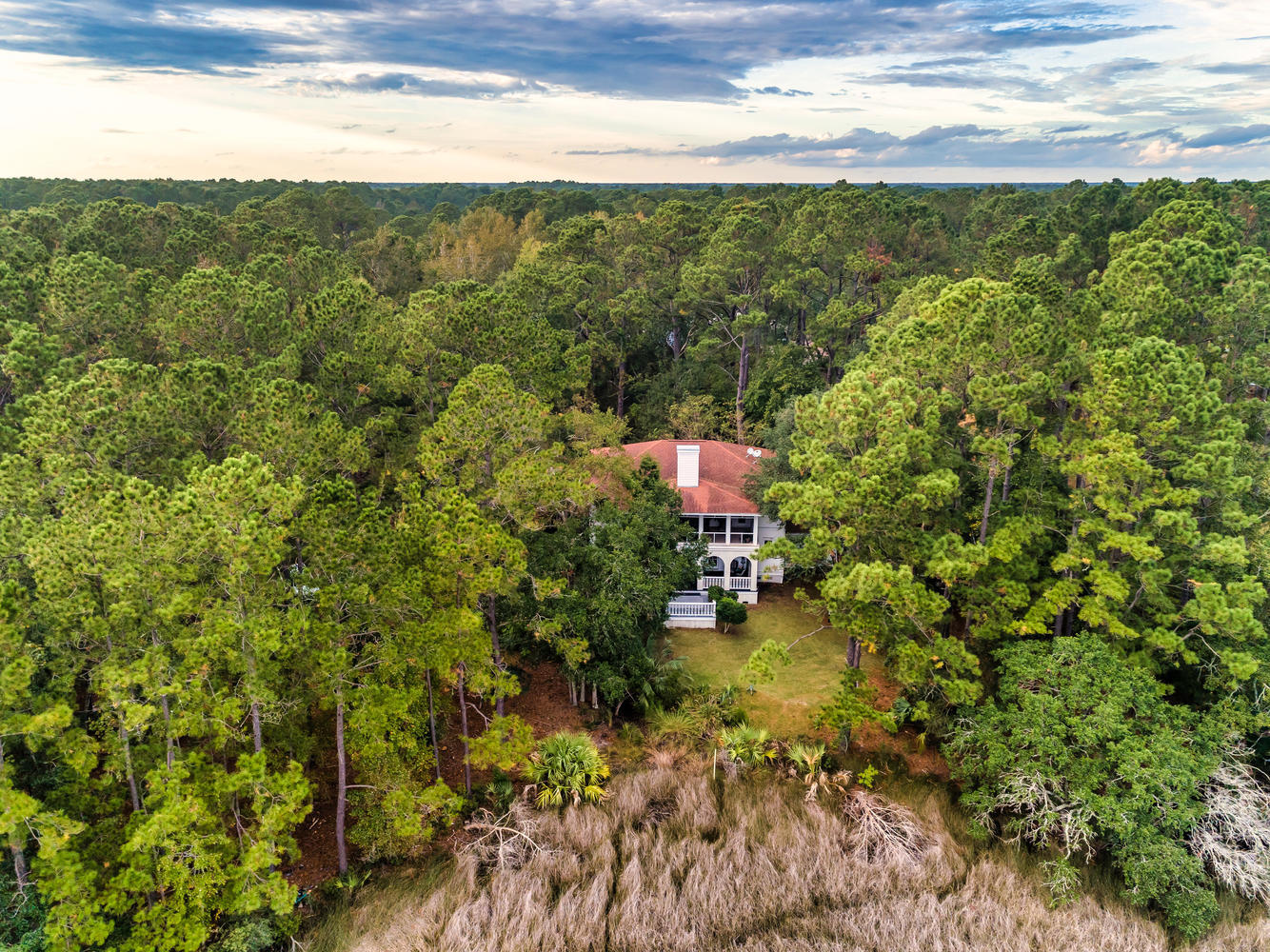 4607 Causey Pond Road Mount Pleasant, SC 29429 - Photo 3 of 53 Secluded Country Estate