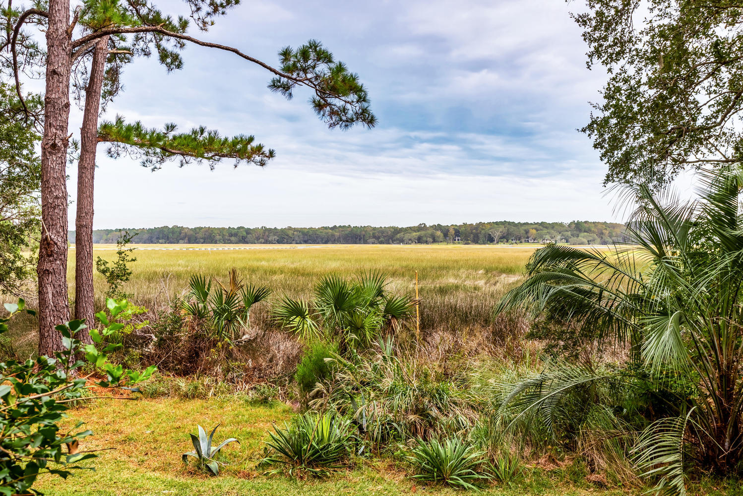 4607 Causey Pond Road Mount Pleasant, SC 29429 - Photo 31 of 53 Expansive Views fro Rear Porches