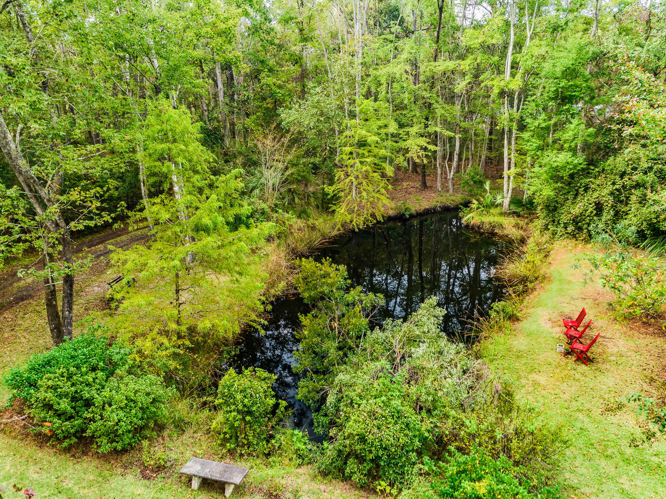 4607 Causey Pond Road Mount Pleasant, SC 29429 - Photo 50 of 53 Stocked Pond