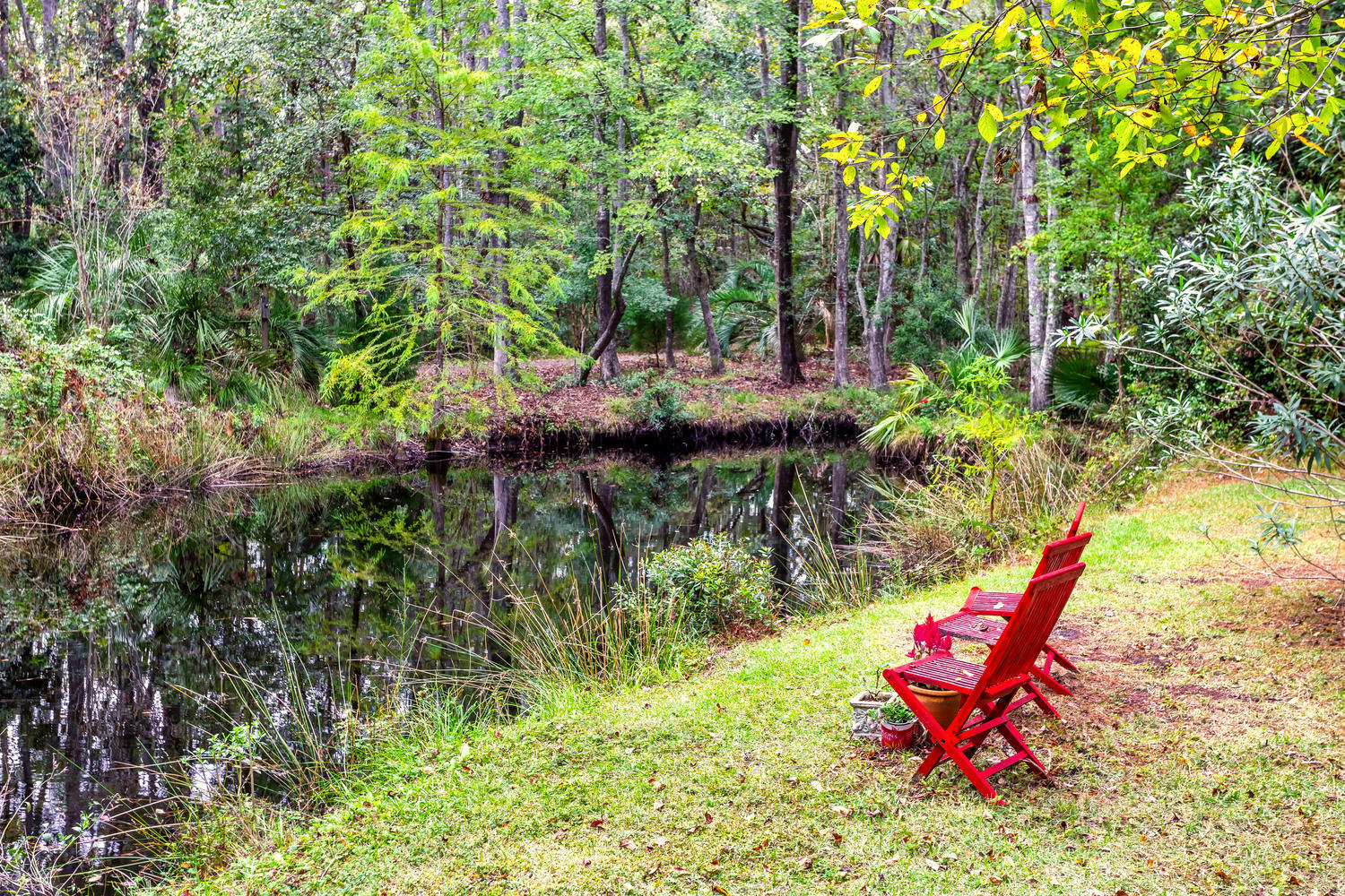 4607 Causey Pond Road Mount Pleasant, SC 29429 - Photo 51 of 53 Peace and Quiet