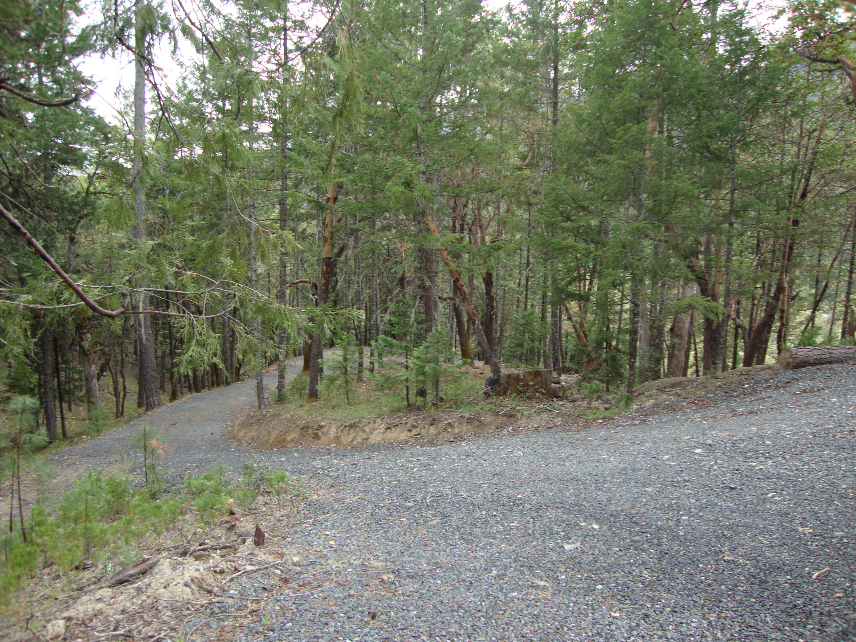 36510 Ditch Creek Road Rogue River, OR 97537 - Photo 10 of 17 DSC03659