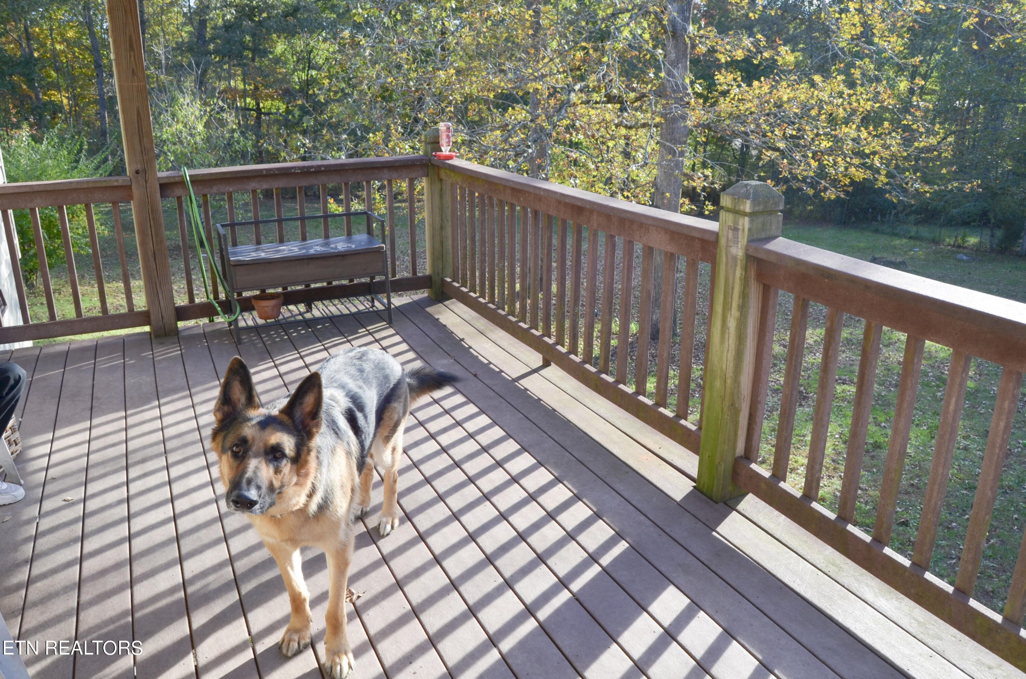 915 Stone Loop Crossville, TN 38571 - Photo 44 of 59 Gallery Image 44