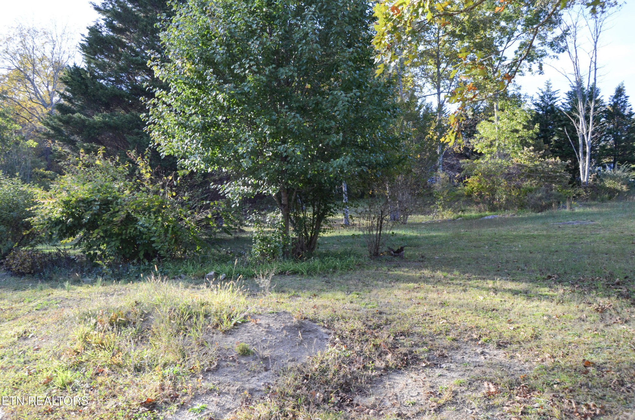 915 Stone Loop Crossville, TN 38571 - Photo 50 of 59 Gallery Image 50