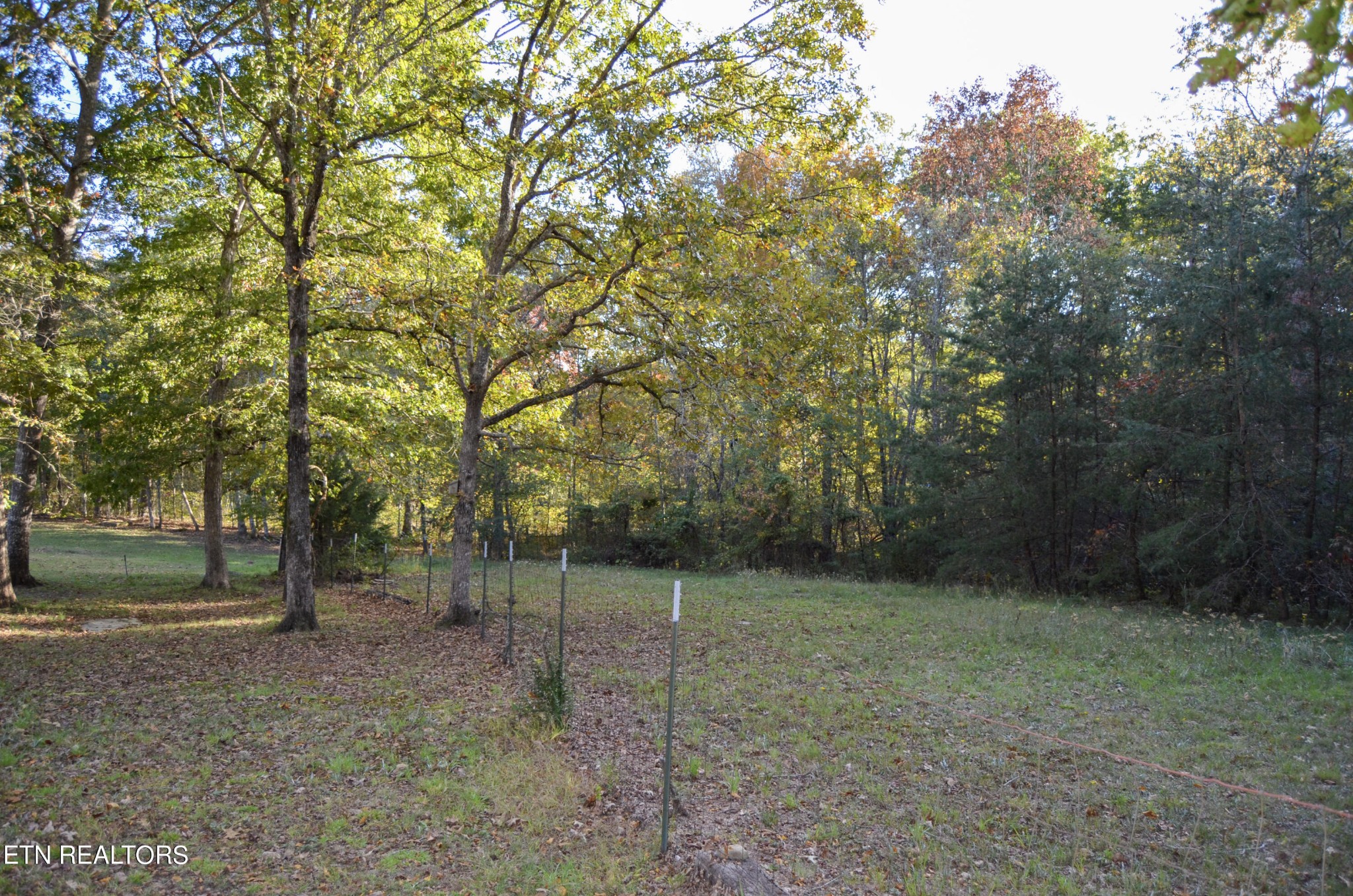 915 Stone Loop Crossville, TN 38571 - Photo 57 of 59 Gallery Image 57