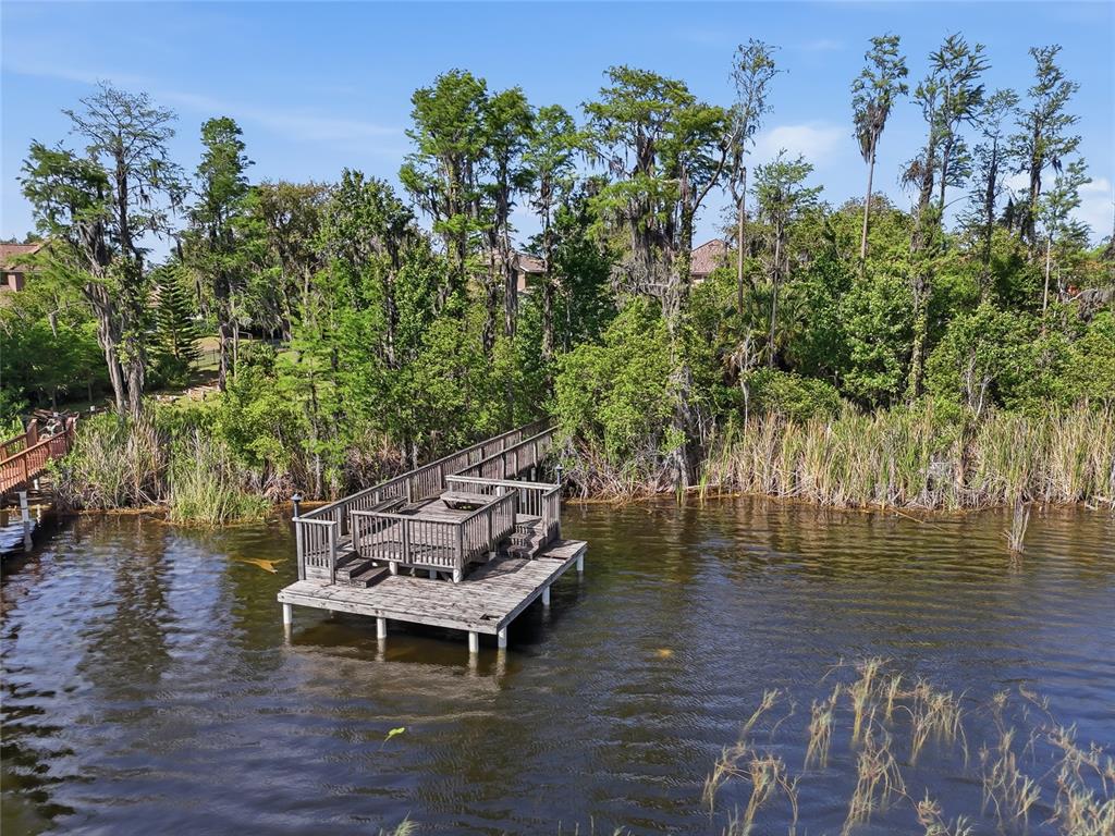 11403 Biddeford Place New Port Richey, FL 34654 - Photo 63 of 78