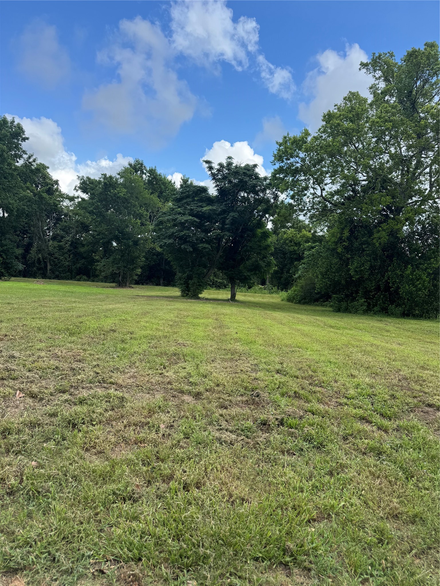611 Trinity Street Liberty, TX 77575 - Photo 4 of 6