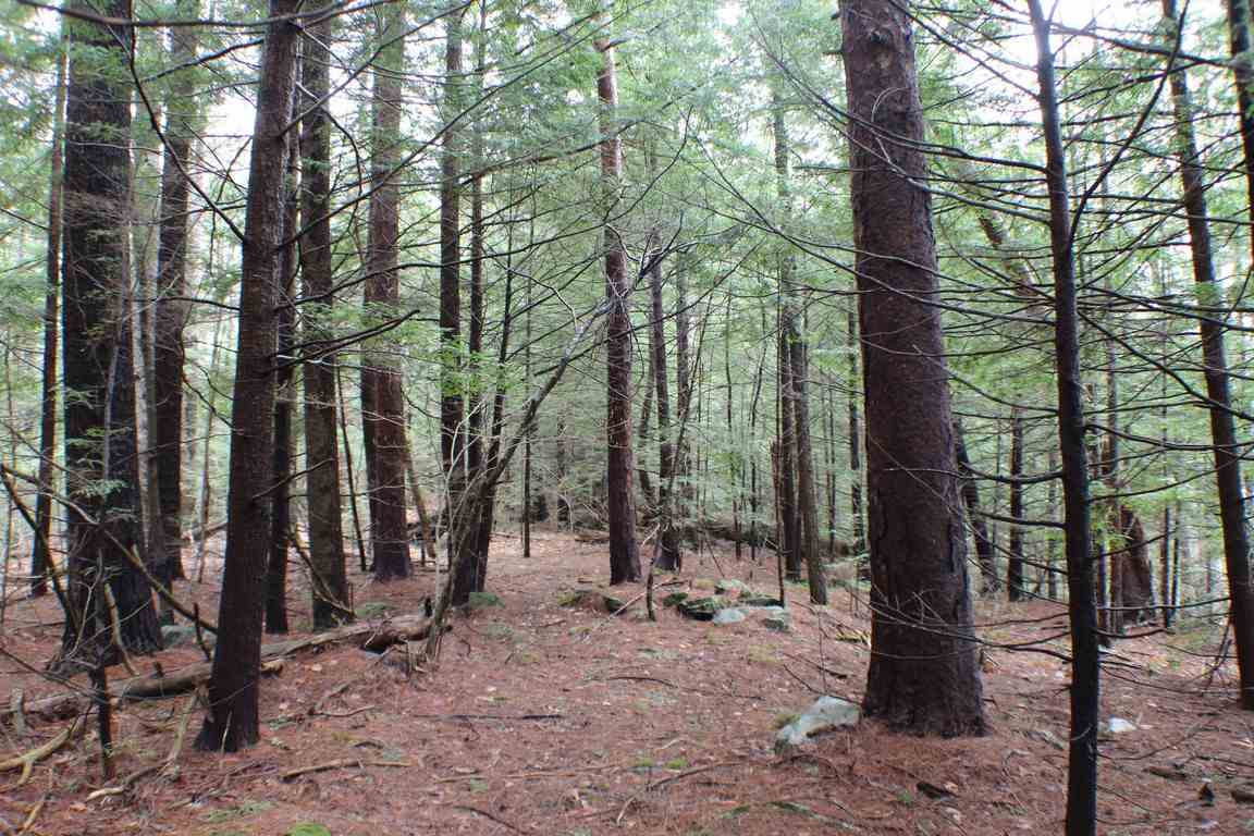 125 Long Point Road Sandwich, NH 03227 - Photo 11 of 13