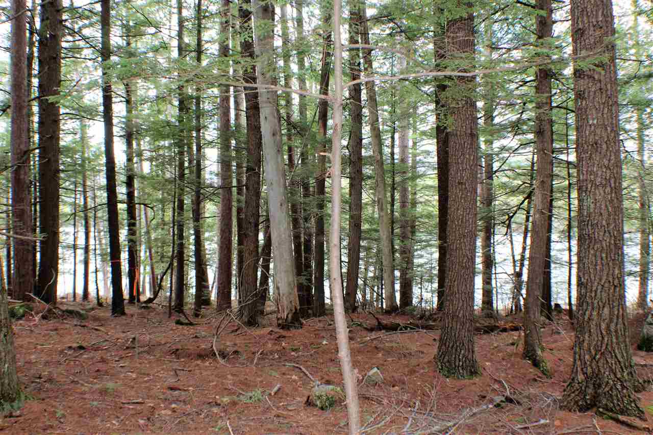 125 Long Point Road Sandwich, NH 03227 - Photo 5 of 13