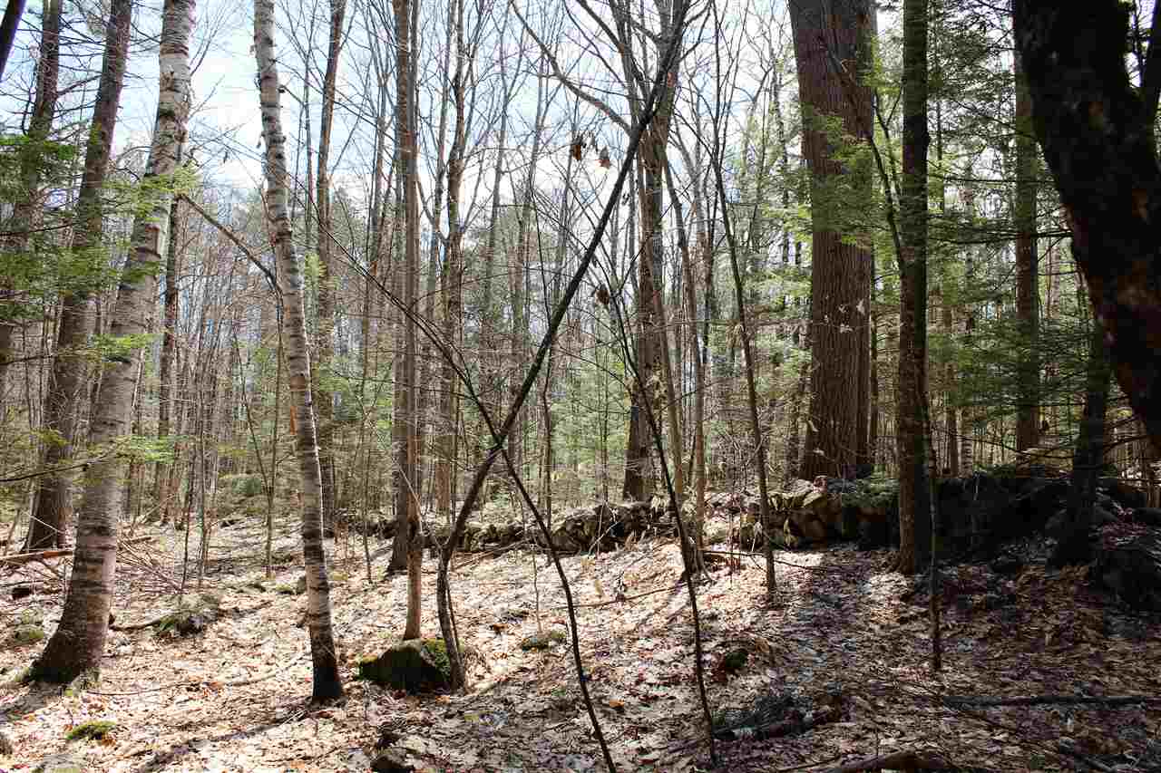 125 Long Point Road Sandwich, NH 03227 - Photo 9 of 13
