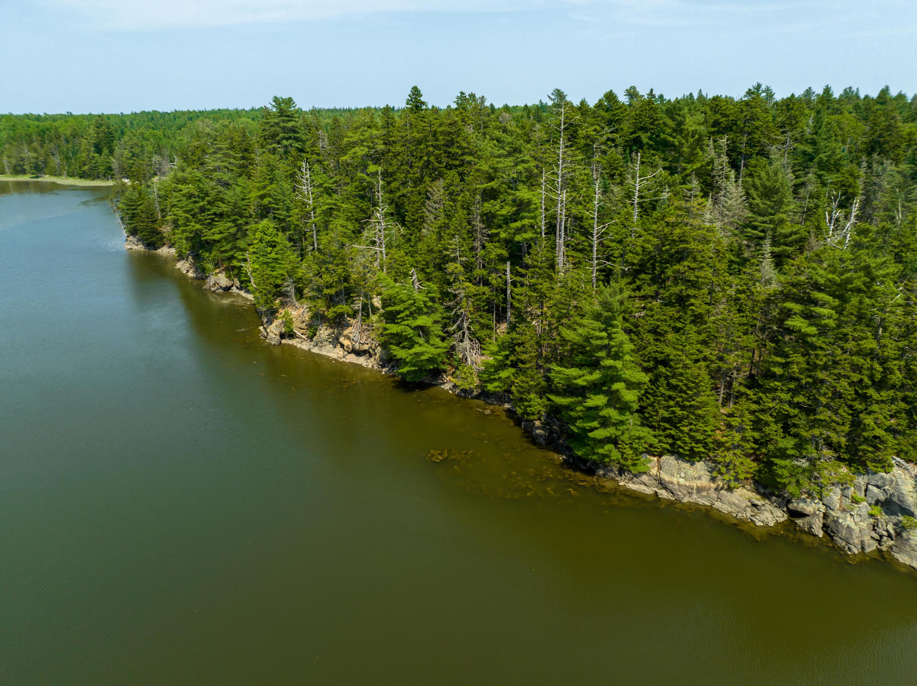 40.4 Timber Cove Road Lubec, ME 04652 - Photo 23 of 27 Lot 40.4 Timber Cove Road, Trescott (34