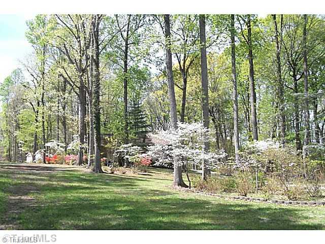 2727 Pleasant Ridge Road Summerfield, NC 27358 - Photo 16 of 16 Yard/Garden.