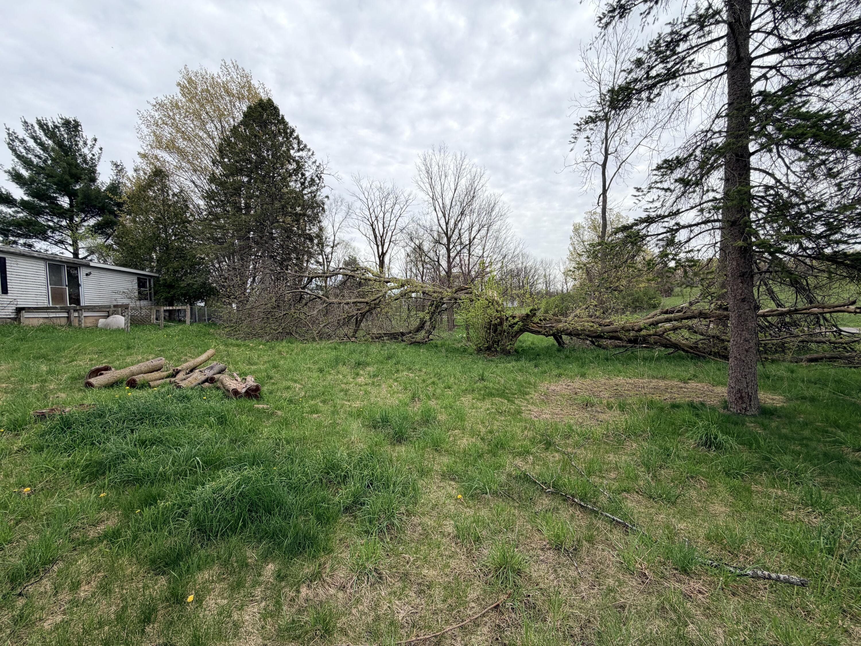1734 East Wilson Road Custer, MI 49405 - Photo 17 of 24 Front yard view