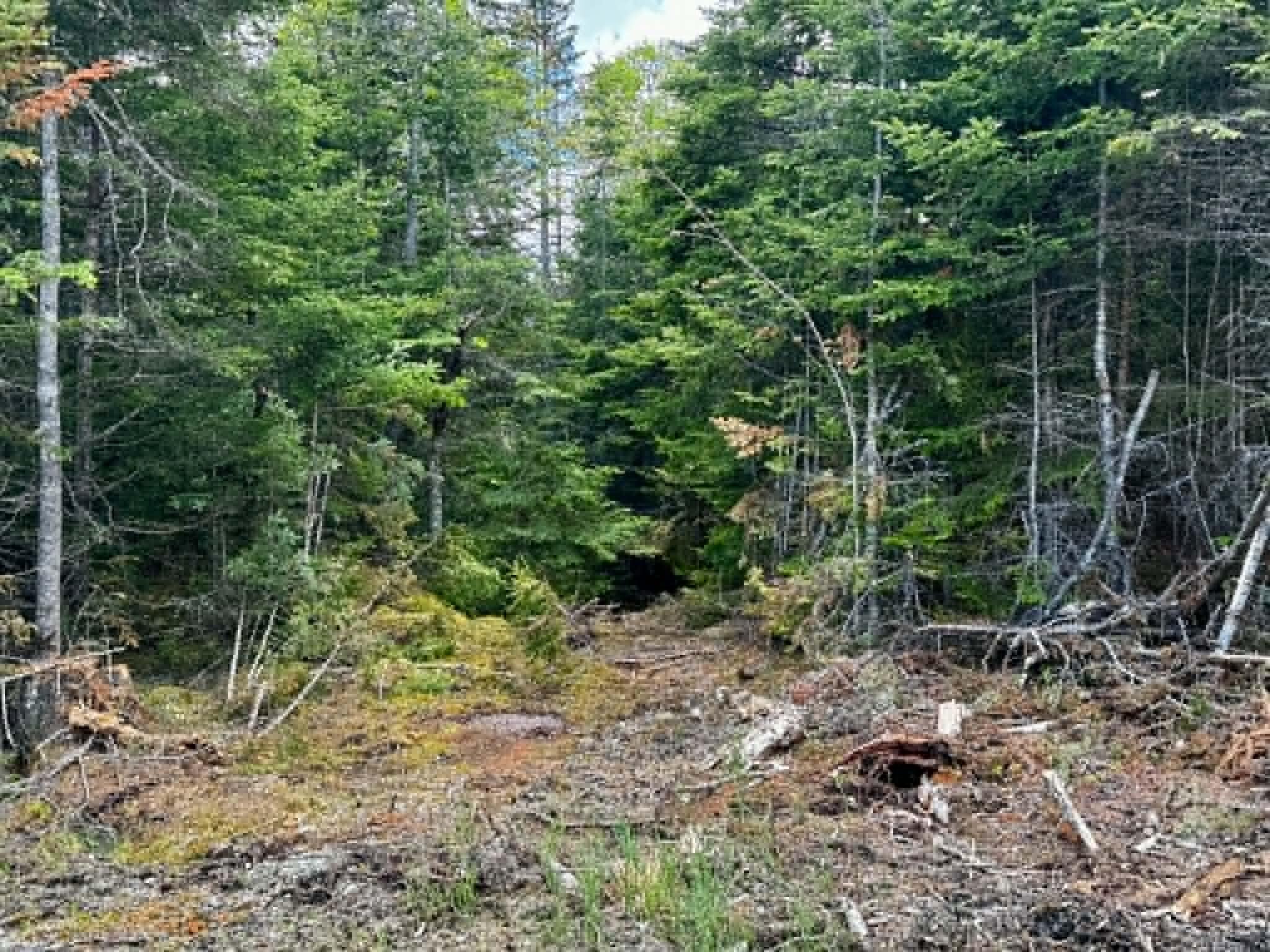 Lot 49 Port Road Machiasport, ME 04655 - Photo 13 of 14 13