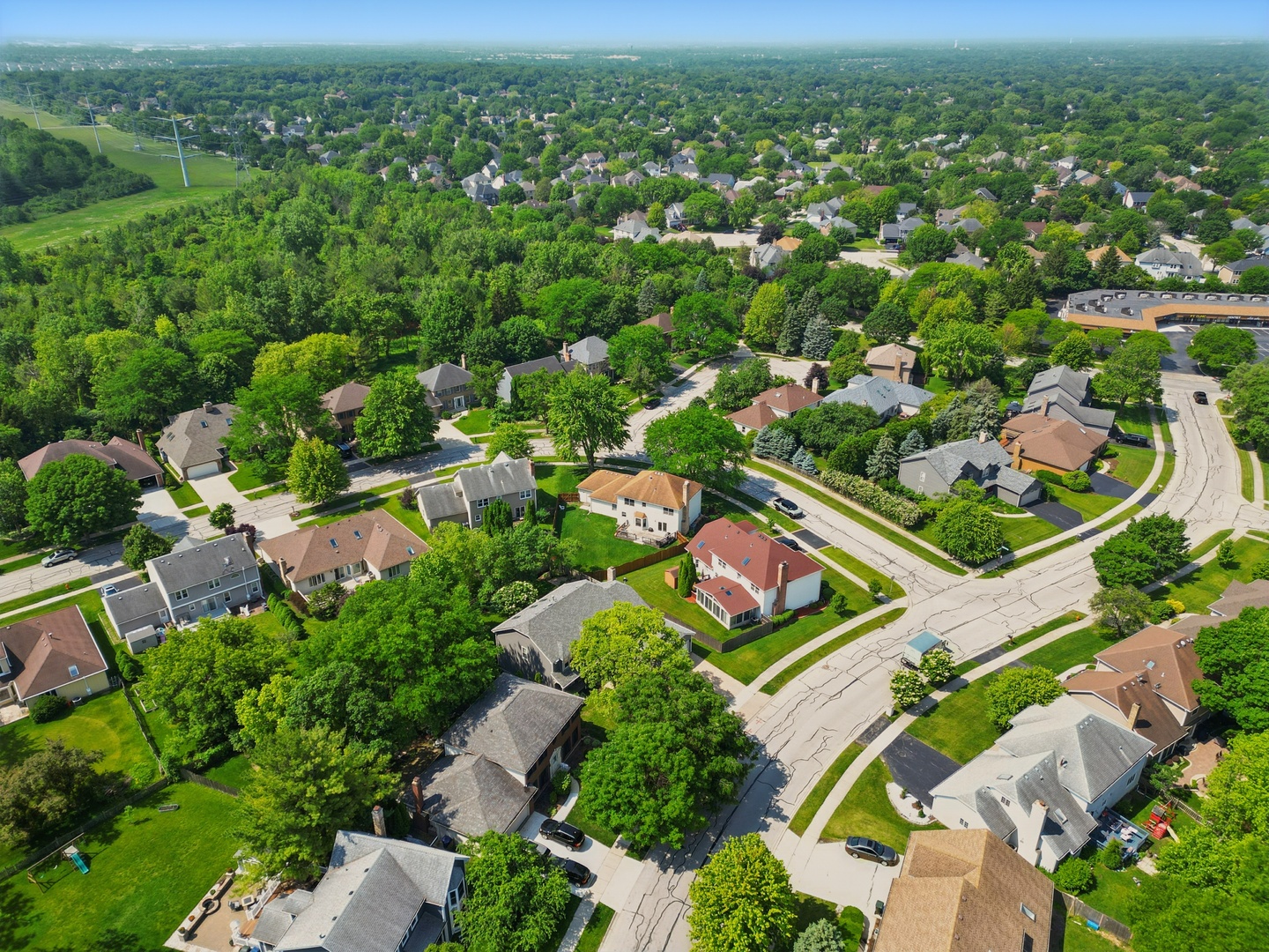 1844 Slippery Rock Road Naperville, IL 60565 - Photo 34 of 39 an aerial view of residential houses with outdoor space and trees