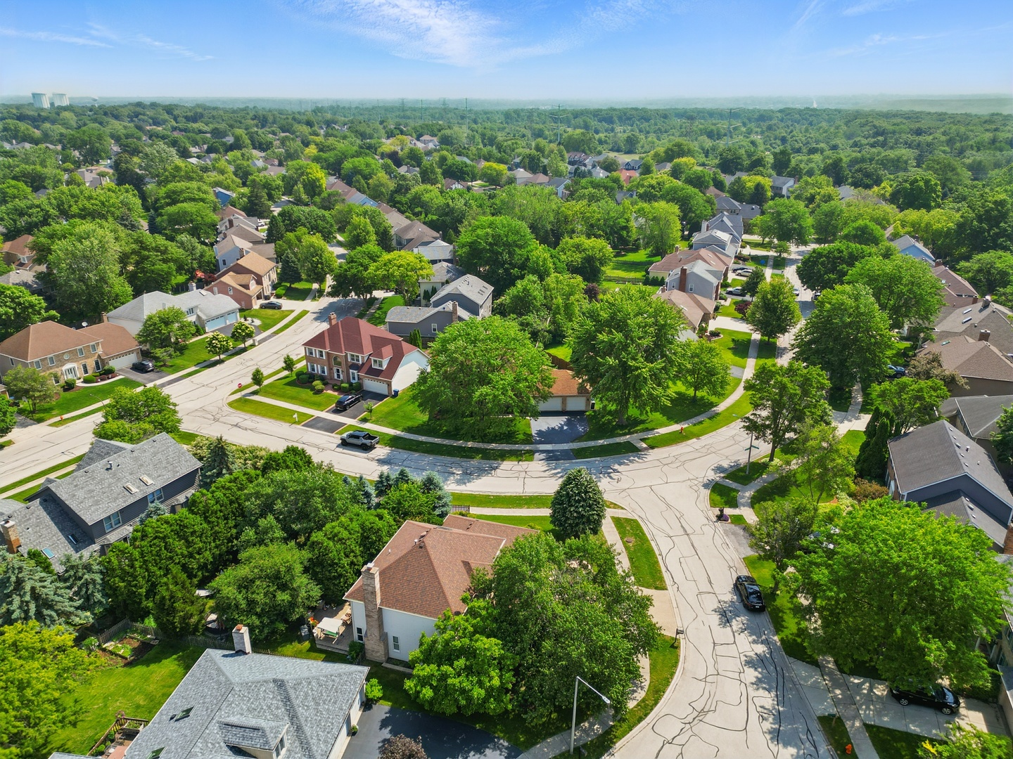 1844 Slippery Rock Road Naperville, IL 60565 - Photo 36 of 39 an aerial view of residential houses with outdoor space and trees
