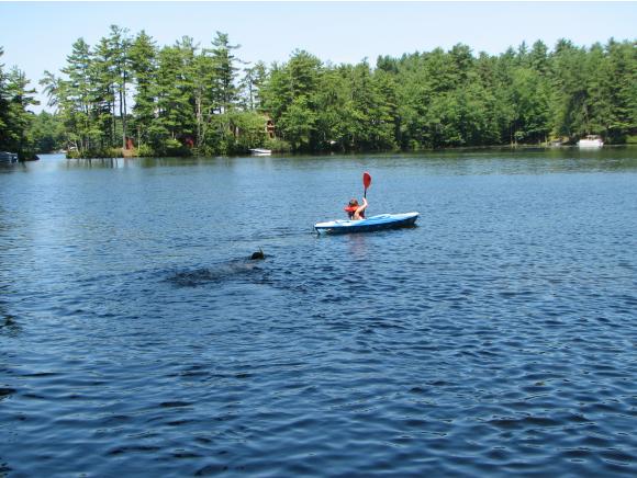 1493 H Road Acton, ME 04001 - Photo 30 of 33 Gallery Image 30
